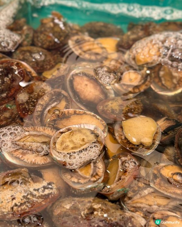 旺角即撈海鮮火鍋放題 全港最大分店