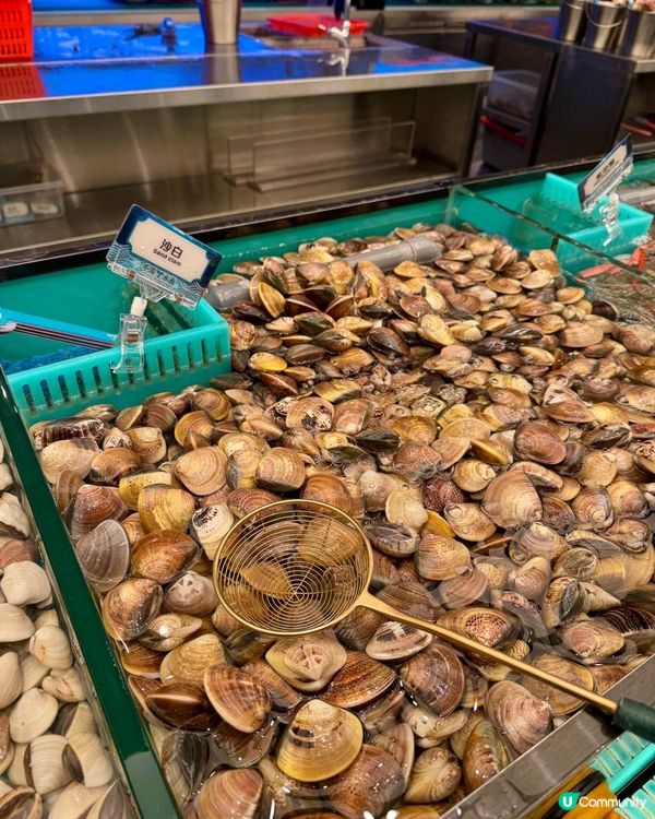 旺角即撈海鮮火鍋放題 全港最大分店