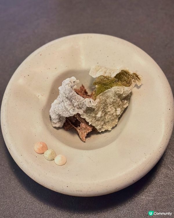 精緻韓國菜fine dining🇰🇷