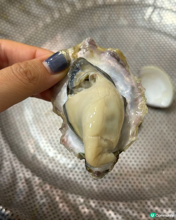 4百幾食咁多海鮮➕粥底➕刺身