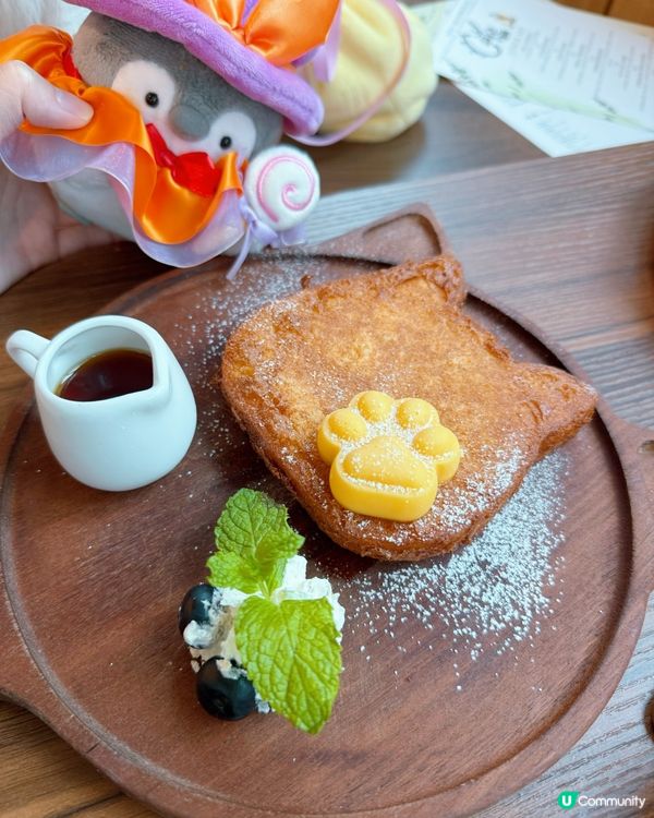 貓奴注意！旺角貓啡😻吸貓天堂！