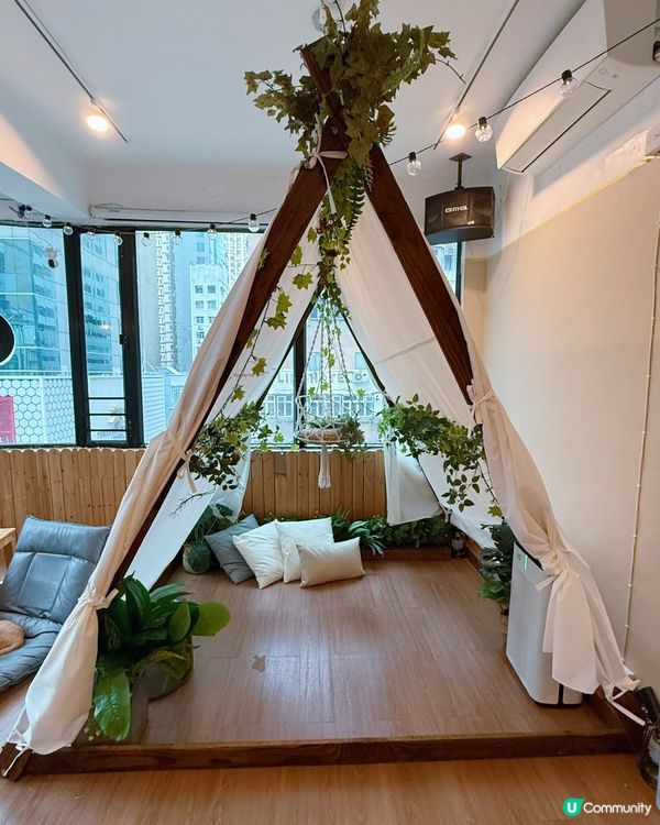 貓奴注意！旺角貓啡😻吸貓天堂！