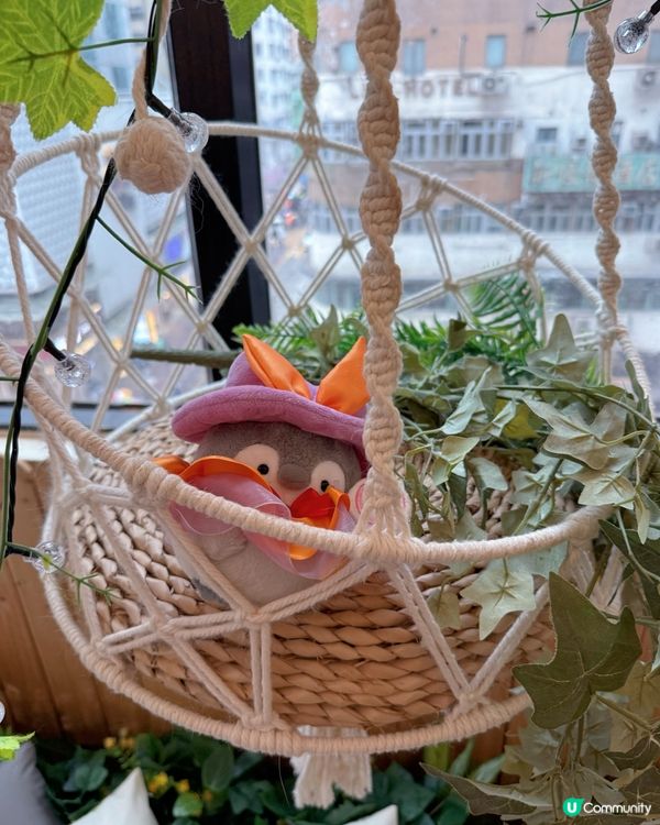 貓奴注意！旺角貓啡😻吸貓天堂！