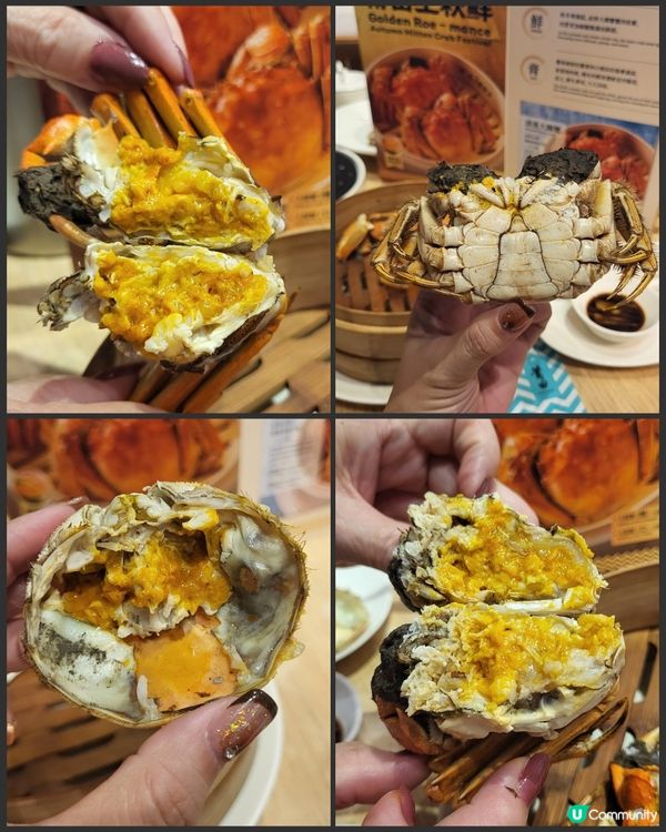 金秋限定 🍂 大閘蟹開季！