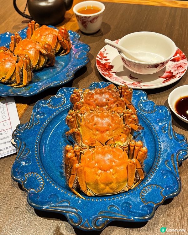 ʚ♡ 爆膏大閘蟹盛宴 • 鍾廚 ♡ɞ