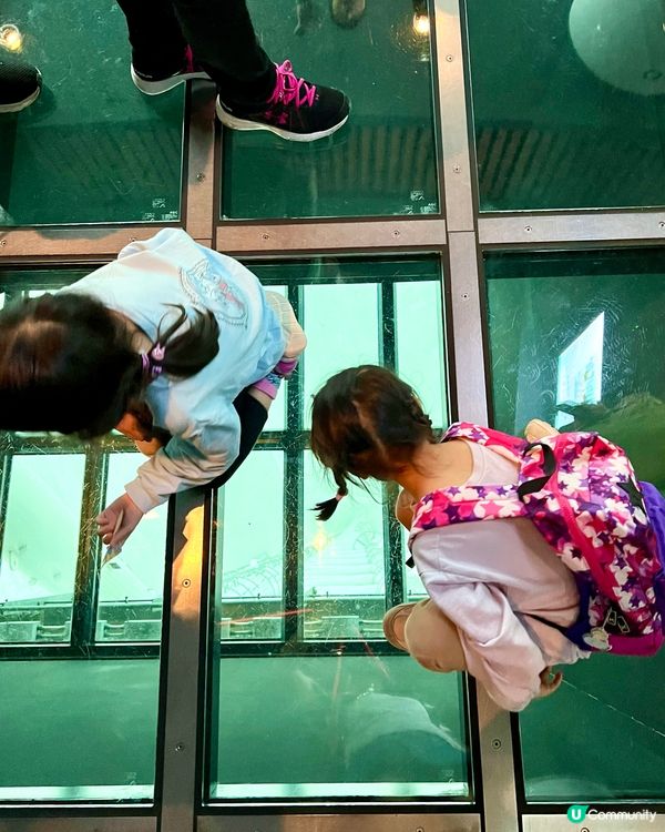 『日本』東京晴空塔｜不只欣賞壯觀景色。由上到下食買玩