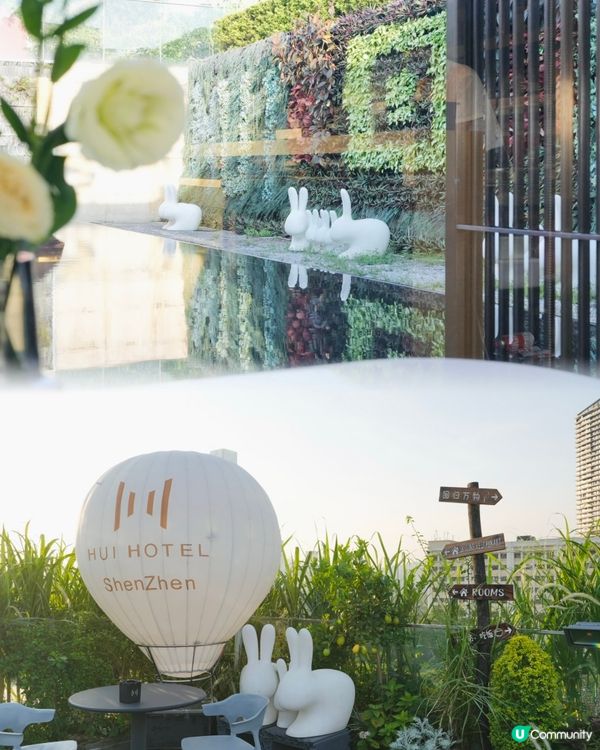 深圳輕奢酒店打卡📸！《回酒店》體驗！