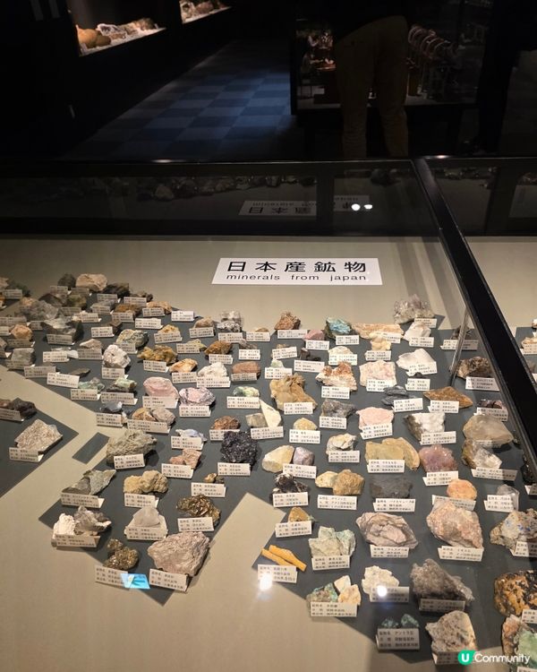 少眾隱世寶石博物館💎