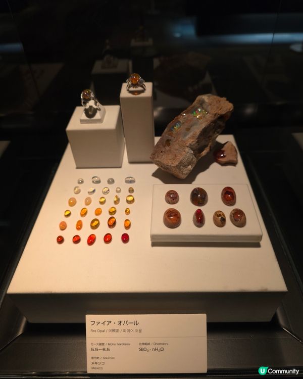 少眾隱世寶石博物館💎