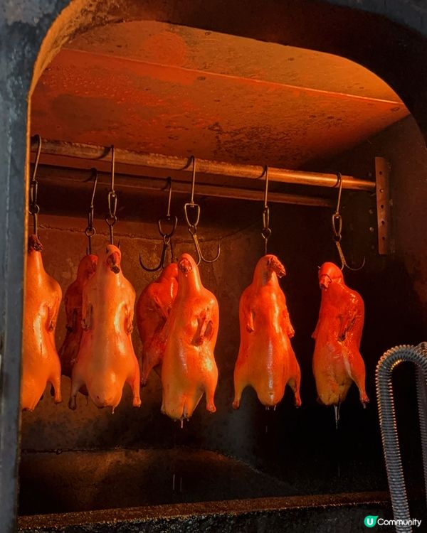 《深圳親民烤鴨慶生宴會與大閘蟹完美結合❣️》