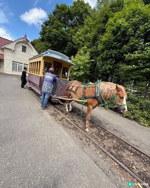 北海道露天博物館-50棟過百年歷史建築物，有馬車體驗牧場體驗