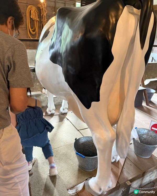 北海道露天博物館-50棟過百年歷史建築物，有馬車體驗牧場體驗