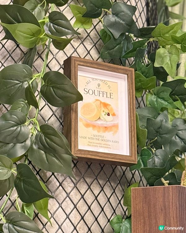 啟德體育園美食攻略！秋日限定柿子 menu🤩