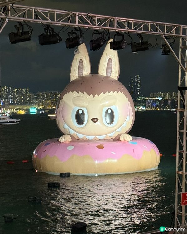 維港海上大巡遊