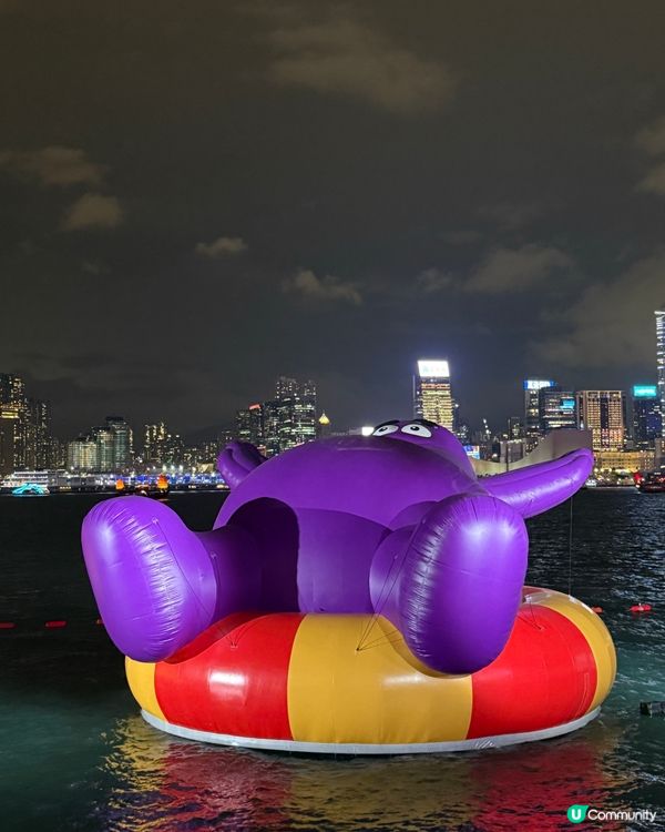 維港海上大巡遊