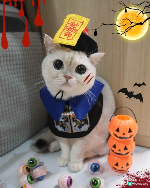 Happy Halloween 🎃👻