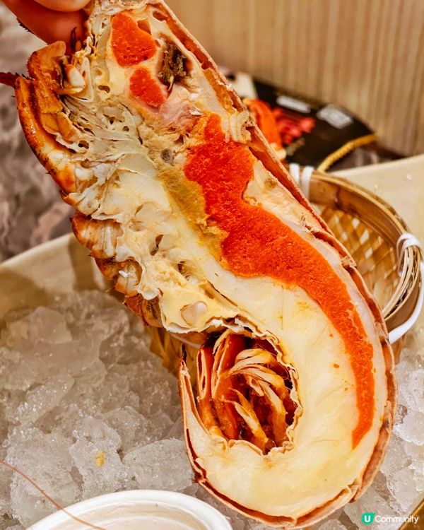 波龍🦞鱘魚🐟籽醬😍任食