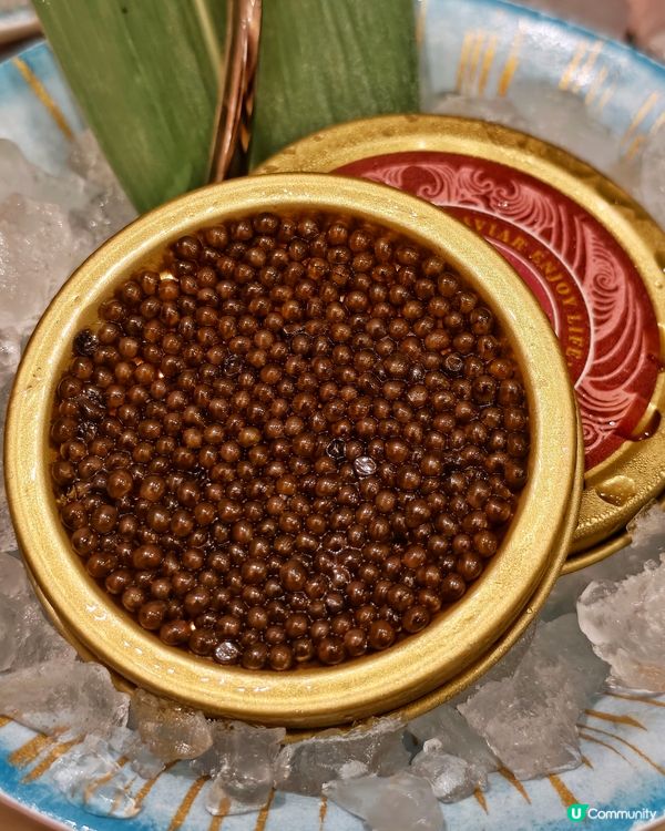 波龍🦞鱘魚🐟籽醬😍任食