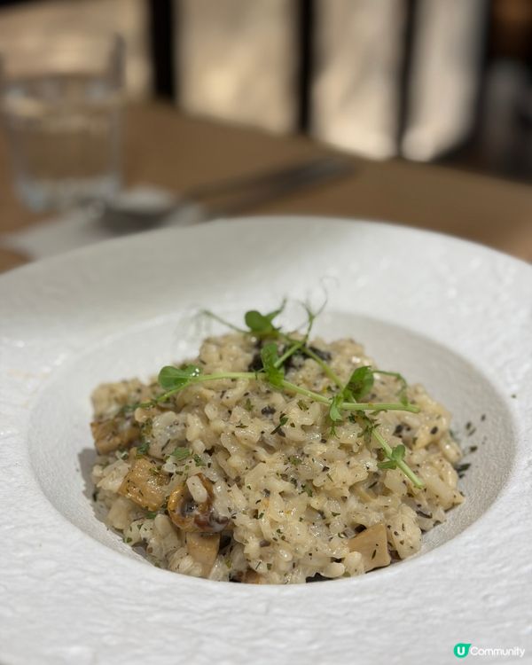 大圍的和風洋食 😋