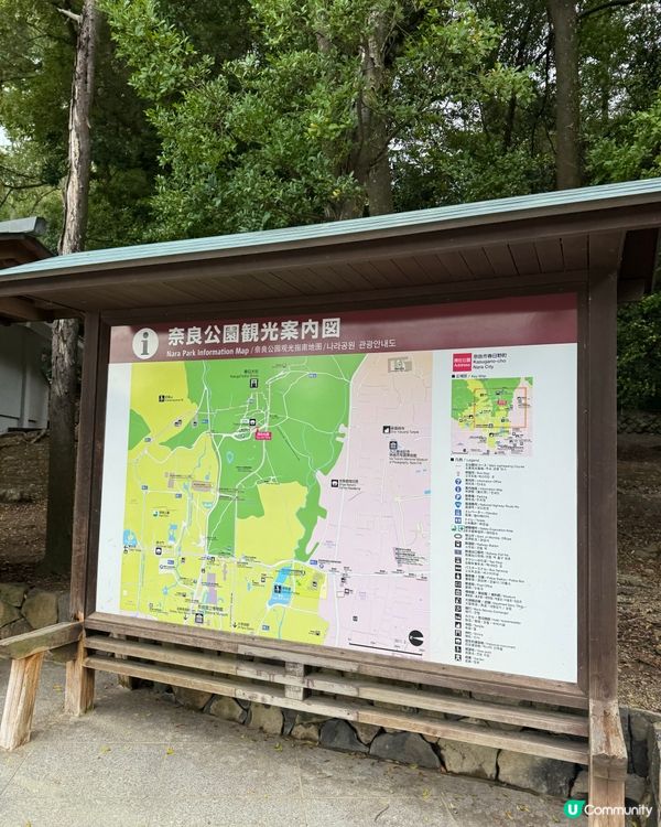 奈良一日遊之🦌🏯 文化古都