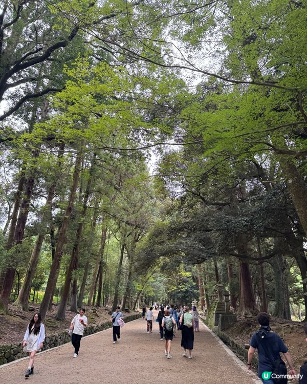 奈良一日遊之🦌🏯 文化古都