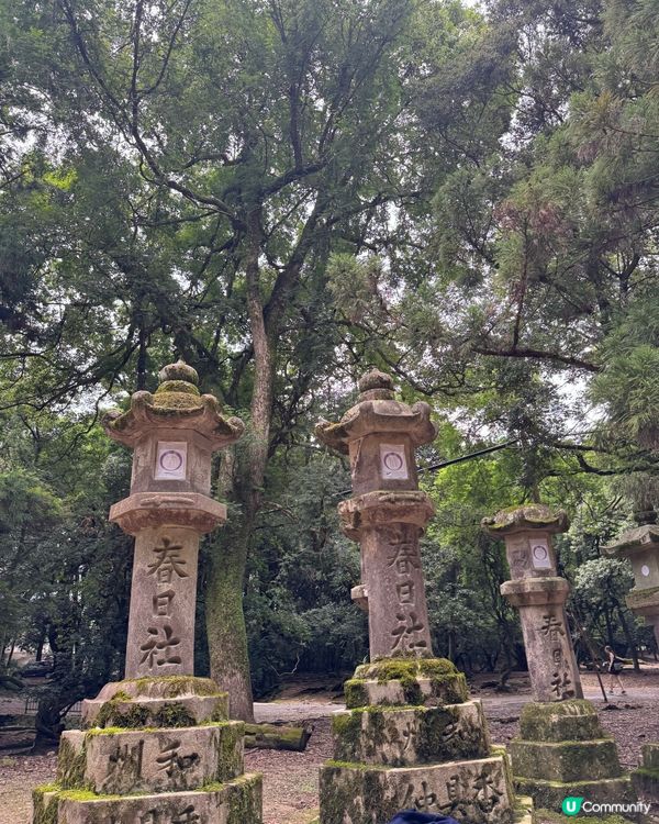 奈良一日遊之🦌🏯 文化古都