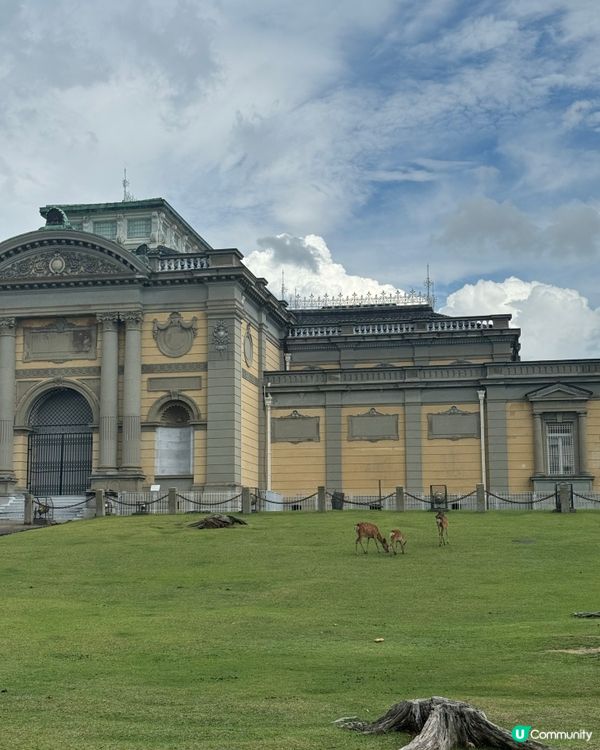 奈良一日遊之🦌🏯 文化古都