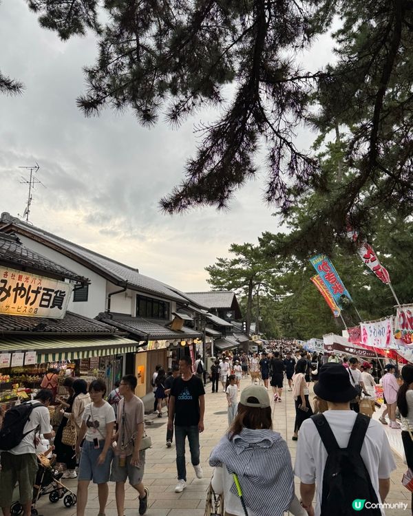 奈良一日遊之🦌🏯 文化古都