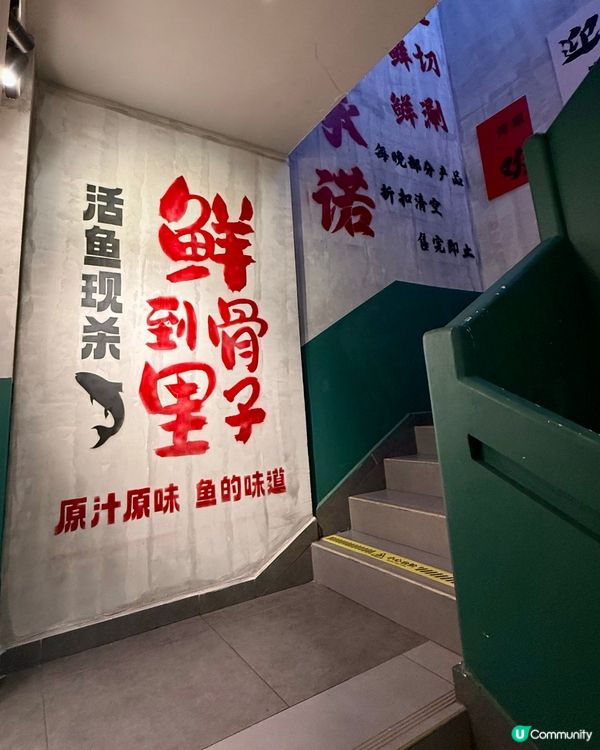 【🐟鮮魚熬製.養生奶白千島湖鮮魚湯】
