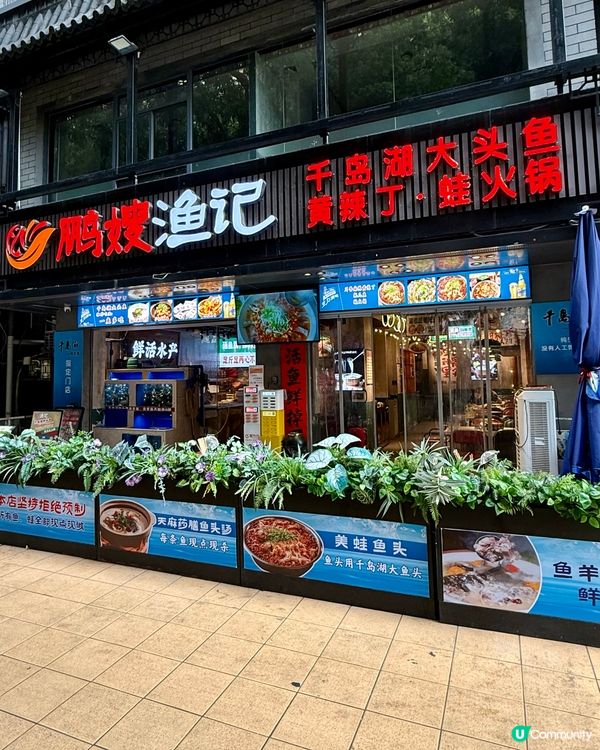 【🐟鮮魚熬製.養生奶白千島湖鮮魚湯】