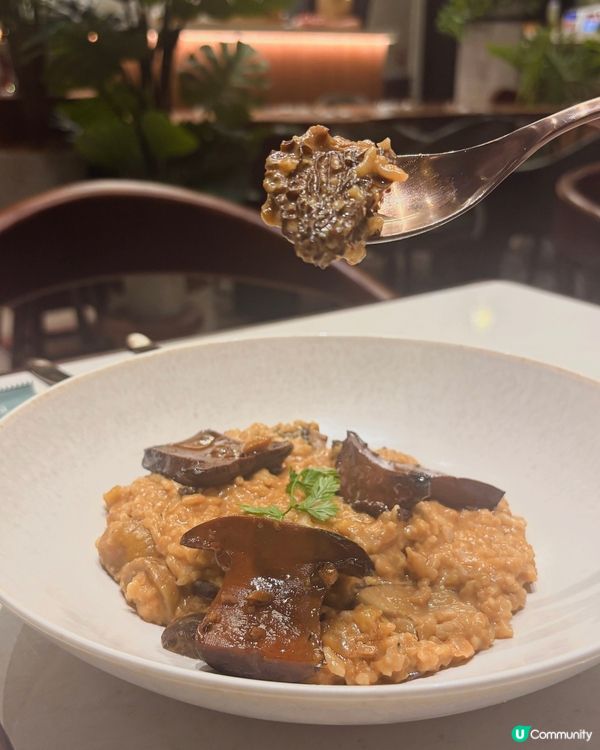 PHI啟德新店！又靚又chill☕️仲有秋日限定餐牌🍁