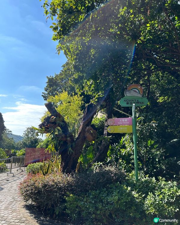 齊來試用🫶🏻🫶🏻驅蚊大師🫶🏻🫶🏻