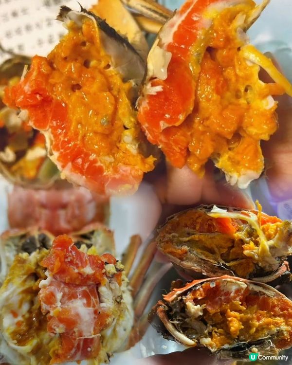 深圳水圍寶藏店！藥膳鴿王打邊爐🤤🍲 15分鐘到！