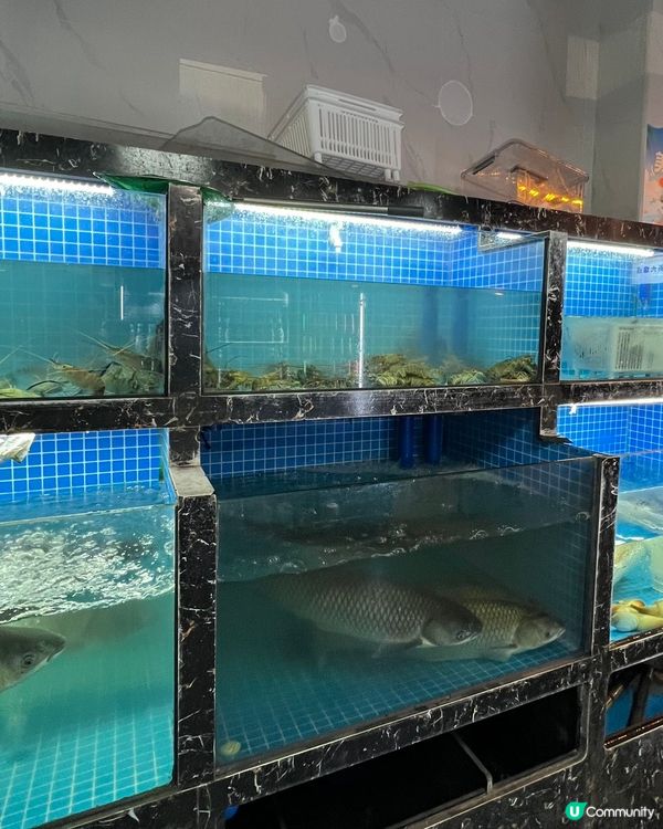 深圳水圍寶藏店！藥膳鴿王打邊爐🤤🍲 15分鐘到！