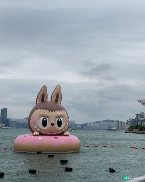 維港水上巡遊！可愛角色大集合😍免費睇！