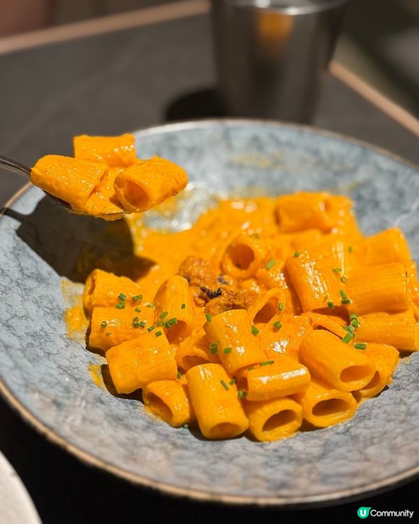 尖沙咀· 牧羊少年與他的浮萍 