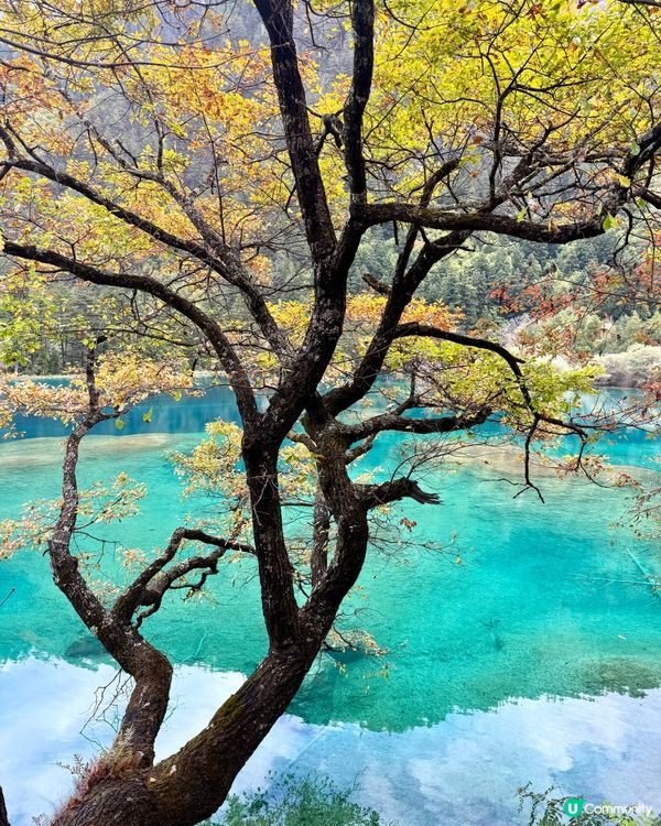 九寨溝