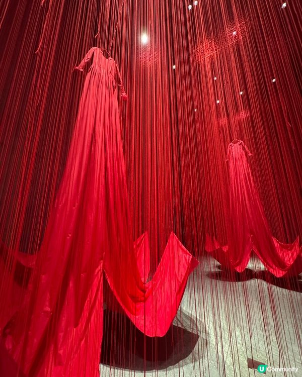 大推🙌M+展覽