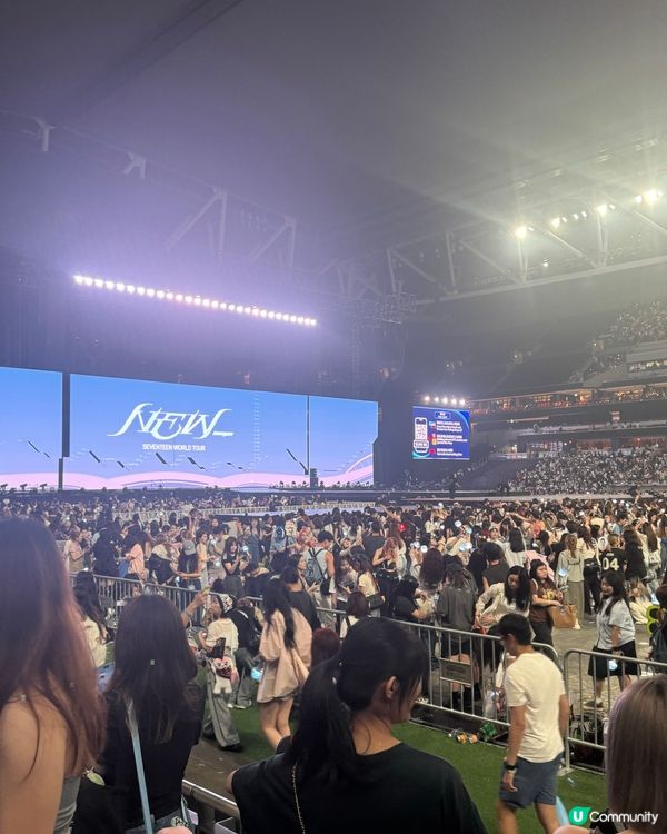 演唱會後遺症😭靚位靚仔靚薯條🤤