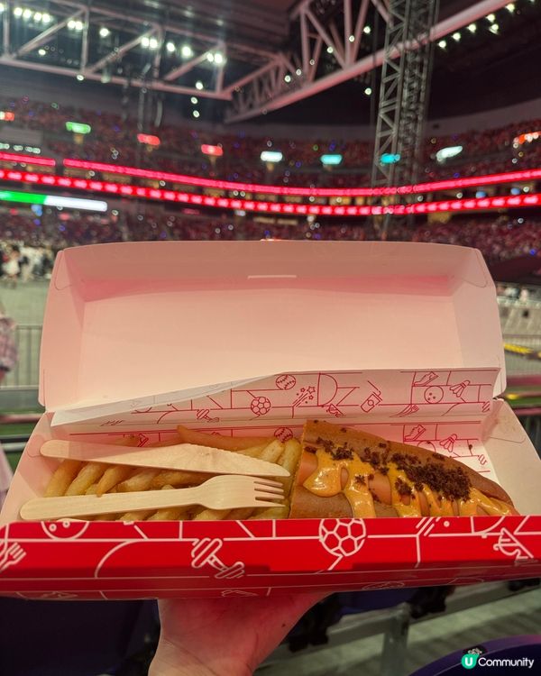 演唱會後遺症😭靚位靚仔靚薯條🤤