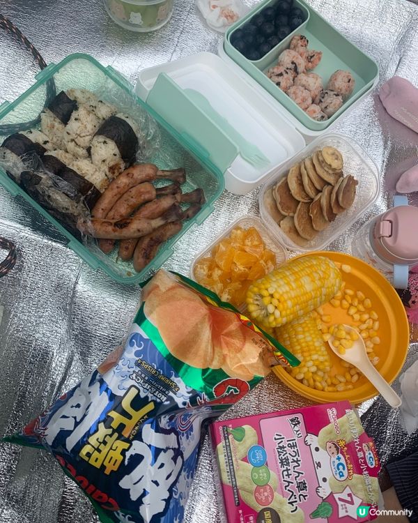 野餐要搵防蚊好幫手😊