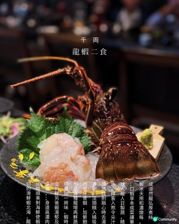 千両冬日限定！🤤 必試龍蝦二食！🦞
