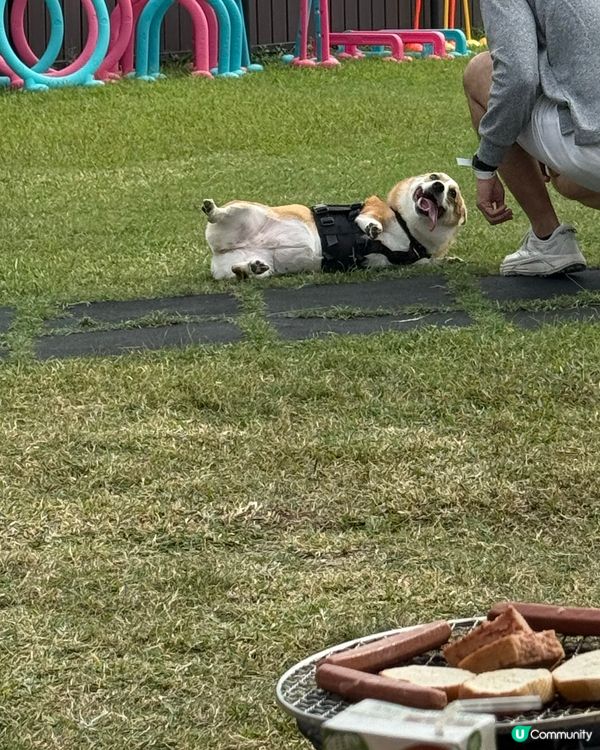 1.  元朗微風村🌿親子放電好去處！燒烤玩水超正🔥