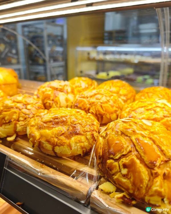 祐禾殺入皇庭廣場！🍞🤤 掃貨返港超方便！