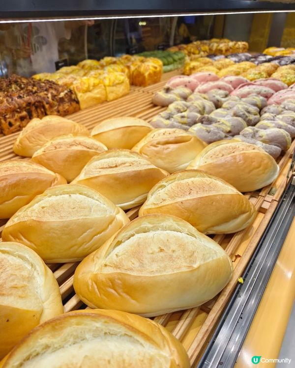 祐禾殺入皇庭廣場！🍞🤤 掃貨返港超方便！