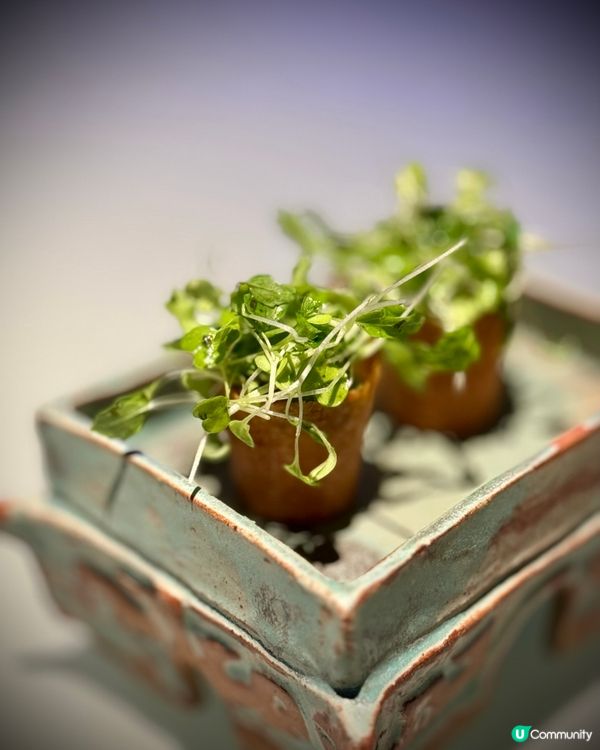 古代餐具食中菜😋🥢 AE卡買一送一米芝蓮二星餐廳🌟