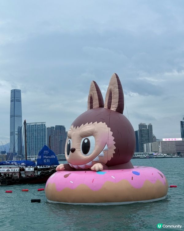 維港海上遊市集!Labubu巨型滑嘟嘟打卡🎪📸🧇