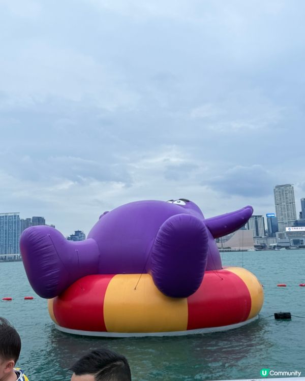 維港海上遊市集!Labubu巨型滑嘟嘟打卡🎪📸🧇