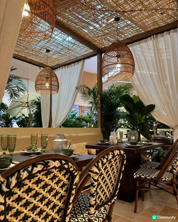 雲南傣味殺到深圳！🤤 泡魯達必試！