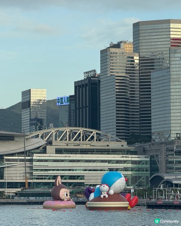 🌊 維港海上大巡遊 童年回憶大集合!✨